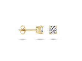 Oorbellen - Goud 14kt | BLUSH