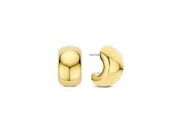 Oorbellen - Zilver plaqu&eacute; goud | TI SENTO