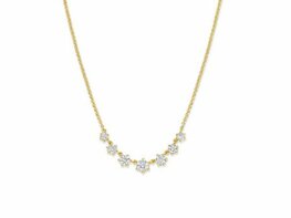 Ketting + hanger - Zilver plaqu&eacute; goud | SILVER ROSE