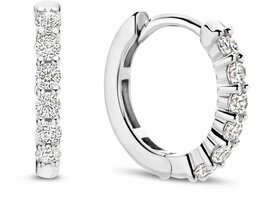 Oorbellen - Zilver | TI SENTO