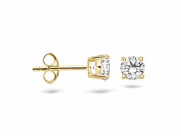 Oorbellen - Goud 14kt | BLUSH