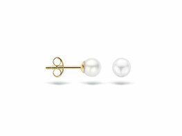 Oorbellen - Goud 14kt | BLUSH