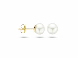 Oorbellen - Goud 14kt | BLUSH