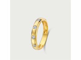 Ring - MERITE | Goud 14kt