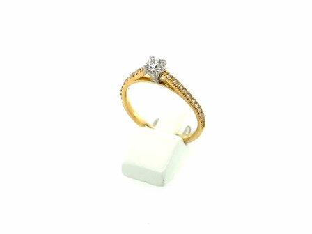 Ring - Goud 18kt | EIGEN CREATIES JUWELIER ZW