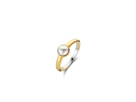 Ring - Zilver plaqu&eacute; goud | TI SENTO