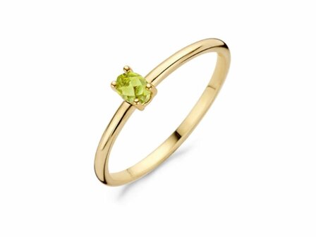 Ring - Goud 14kt | BLUSH