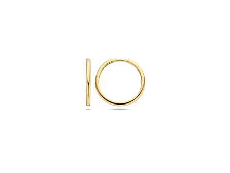 Oorbellen - Goud 14kt | BLUSH