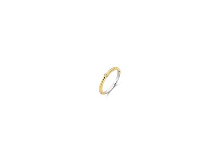 Ring - Zilver plaqu&eacute; goud | TI SENTO