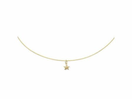 Ketting + hanger - JACKY GOLD | Goud 14kt