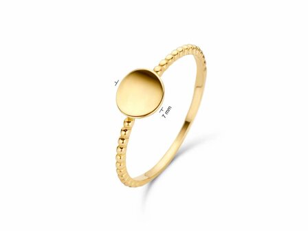 Ring - JACKY GOLD | Goud 14kt