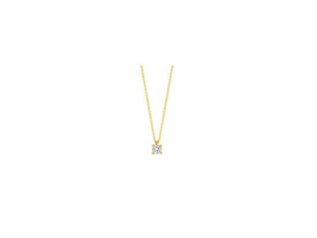 Ketting + hanger - Goud 14kt | BLUSH