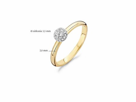 Ring - Goud 14kt | BLUSH