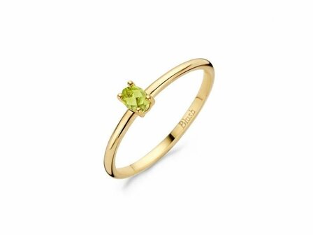 Ring - Goud 14kt | BLUSH