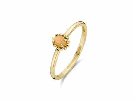 Ring - Goud 14kt | BLUSH