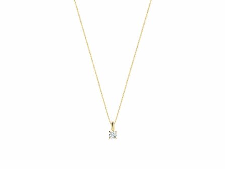 Hanger - Goud 14kt | BLUSH