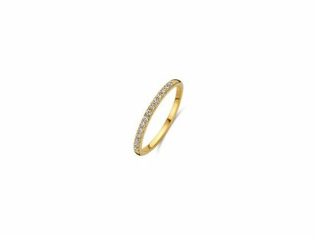 Ring - Goud 14kt | BLUSH