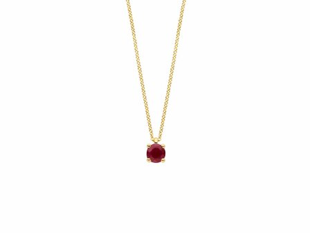 Ketting + hanger - Goud 14kt | BLUSH