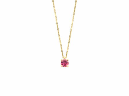 Ketting + hanger - Goud 14kt | BLUSH