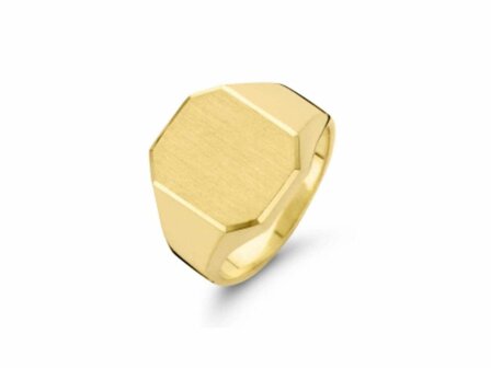 Ring - Goud 14kt | FJORY