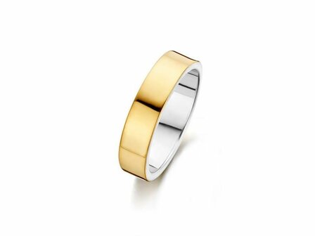 Ring - Goud 14kt | FJORY