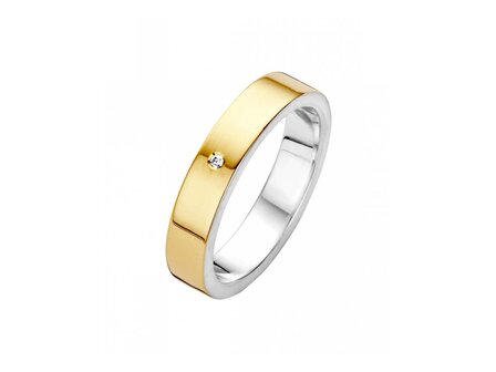 Ring - Goud 14kt | FJORY