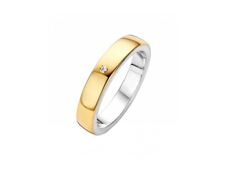 Ring - Goud 14kt | FJORY