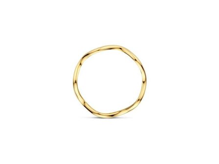 Ring - Goud 14kt | BLUSH