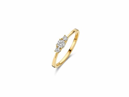 Ring - Goud 14kt | BLUSH