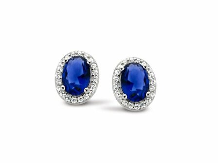 Oorbellen - Zilver | SILVER ROSE