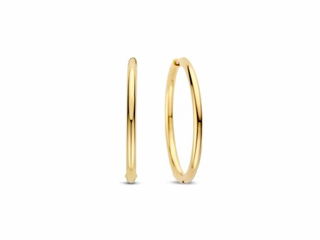 Oorbellen - Zilver plaqu&eacute; goud | TI SENTO