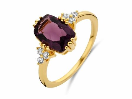 Ring - Zilver plaqu&eacute; goud | NAIOMY