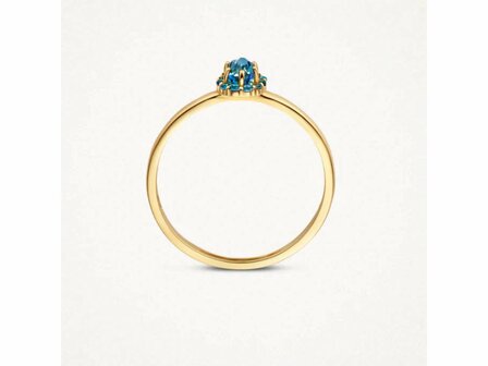 Ring - Goud 14kt | BLUSH