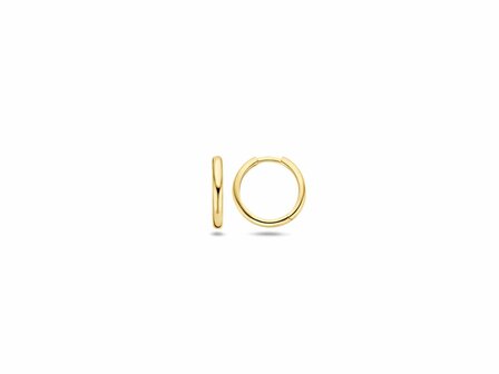 Oorbellen - Goud 14kt | BLUSH