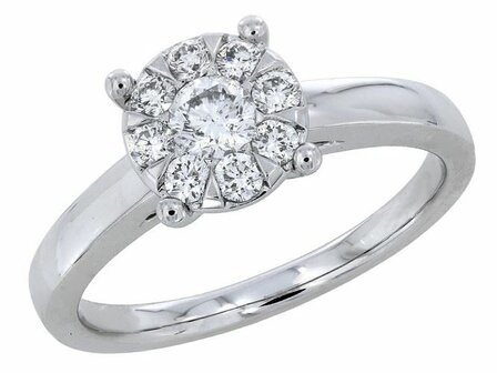 Ring - Wit goud 18kt | EIGEN CREATIES JUWELIER ZW