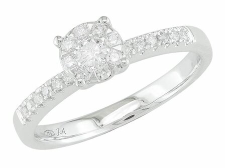 Ring - Goud 18kt | EIGEN CREATIES JUWELIER ZW