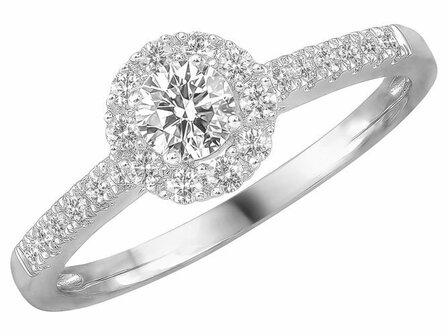 Ring - Wit goud 18kt (2) | EIGEN CREATIES JUWELIER ZW