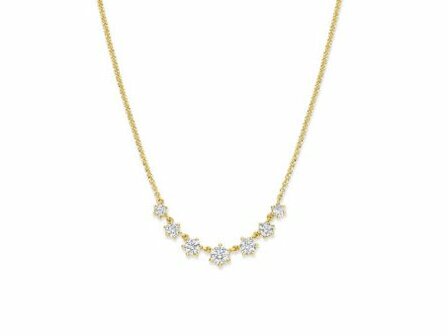 Ketting + hanger - Zilver plaqu&eacute; goud | SILVER ROSE