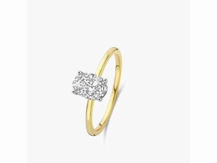 Ring - Goud 18kt | EIGEN CREATIES JUWELIER ZW