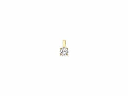 Hanger - Goud 14kt | BLUSH