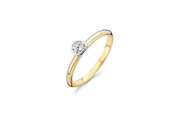 Ring - Goud 14kt | BLUSH