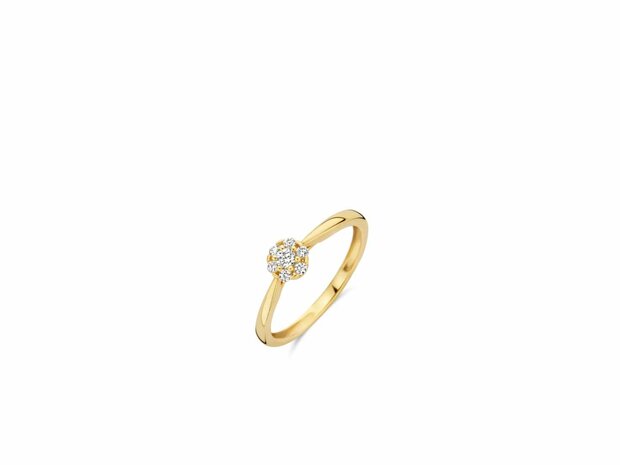 Ring - Goud 14kt | BLUSH