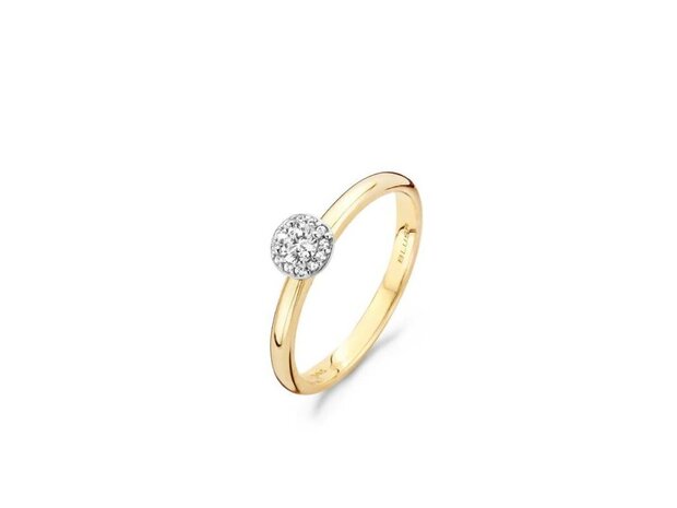 Ring - Goud 14kt | BLUSH