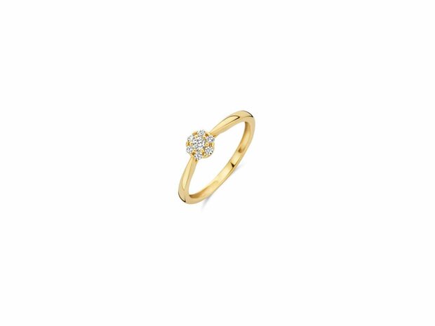 Ring - Goud 14kt | BLUSH