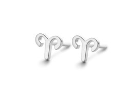 Oorbellen - Zilver | SPIRIT ICONS