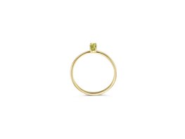Ring - Goud 14kt | BLUSH