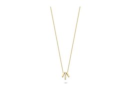 Ketting + hanger - Goud 14kt | BLUSH