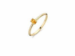 Ring - Goud 14kt | BLUSH
