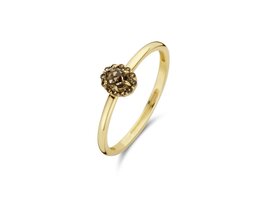Ring - Goud 14kt | BLUSH
