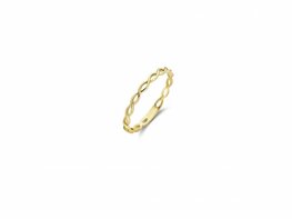 Ring - Goud 14kt | BLUSH